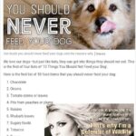 Yvette Rachelle Instagram - As a big #DogLover🐶🐶🐶 #dogsofinstgram #nationaldogday please never feed these foods to your #Dog #Puppy a.#dogbaby any foods on list including #Chocolate #Raisins #tobacco #Tomato most #Nuts #Onions... please read list and pass on #share as some folks don't realize these foods could be potentially harmful or deadlyto their beloved #pet Mans #bestfriend the dog🐶🐕🐈 #Love #Hugs 2 your #Dogs #YvetteRachelle #Actress #TopModel #AnimalActivist #AnimalLover #swedishgirl #Star of #SantaStoleOurDog #Film with fellow dog lover @TheOnlyEdAsner #DollyParton