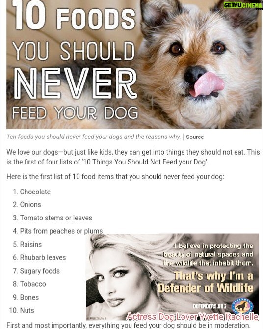 Yvette Rachelle Instagram - As a big #DogLover🐶🐶🐶 #dogsofinstgram #nationaldogday please never feed these foods to your #Dog #Puppy a.#dogbaby any foods on list including #Chocolate #Raisins #tobacco #Tomato most #Nuts #Onions... please read list and pass on #share as some folks don't realize these foods could be potentially harmful or deadlyto their beloved #pet Mans #bestfriend the dog🐶🐕🐈 #Love #Hugs 2 your #Dogs #YvetteRachelle #Actress #TopModel #AnimalActivist #AnimalLover #swedishgirl #Star of #SantaStoleOurDog #Film with fellow dog lover @TheOnlyEdAsner #DollyParton