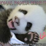 Yvette Rachelle Instagram - Happy #nationalpandaday #Cute Cuddly #Vegan #Panda eats 99% Bamboo diet the same of #Supermodels lol Sadly, only around 1590 #PandaBears left in the wild let's help protect them and their habitat. #Love #Peace #Actress #AnimalActivist #Supermodel #AnimalLover #TopModel #naturephotoshoot #YvetteRachelle