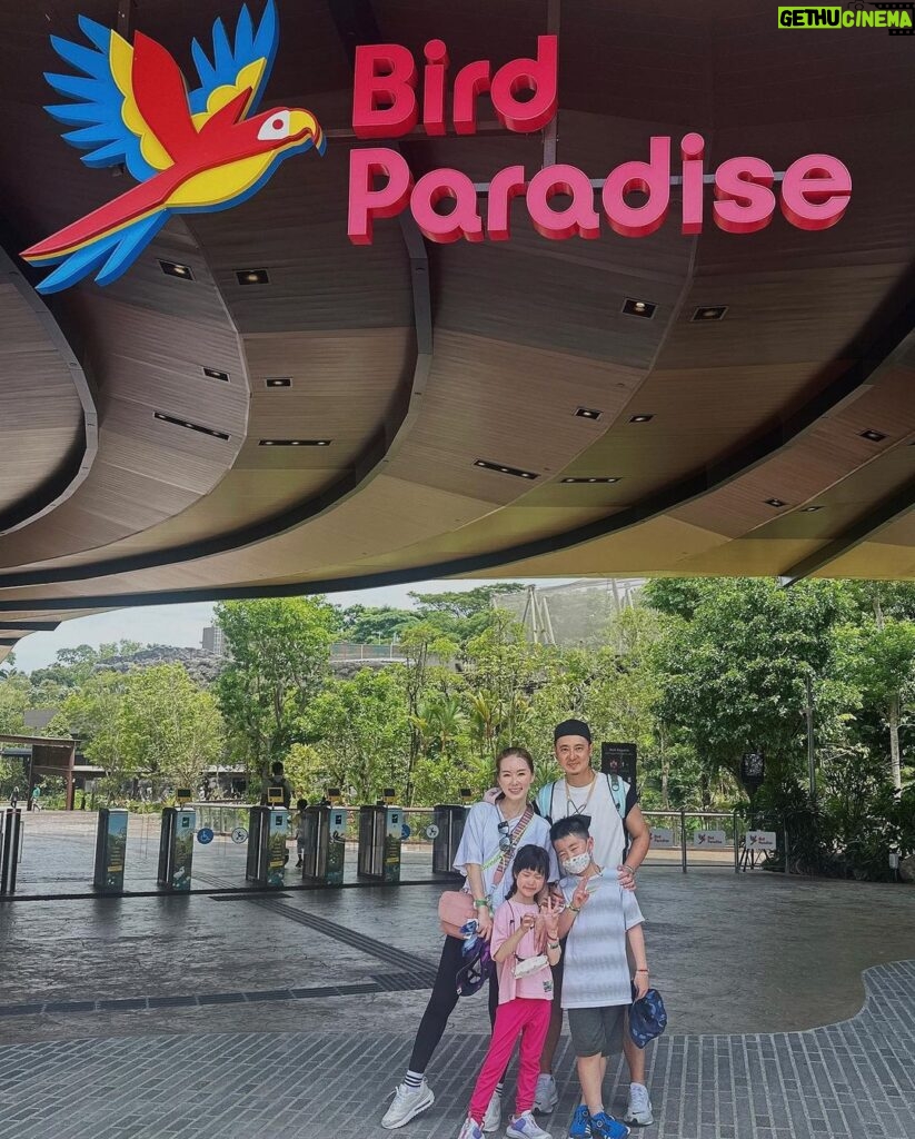 Yvonne Lim Instagram - Am glad i was able to bring #happyAJ & #happyAlexa for a trip to Jurong Bird Park before their big migration to @mandaiwildlifereserve #Bird Paradise 🦅🦜🦆🕊️🦩! My kids were really happy to see the animals and birds settling well in their new home, it was beautiful and huge!! 🥰 . We explored all the 8 different walk through zones where we could have some interaction with the birds, AJ and Alexa had so much fun spotting the different species of birds 😍. My favorite zone is Crimson Wetlands, Alex's favorite is Australian Outback & my kids simply love Penguin Cove with a cafe to rest for penguins watching. 🥰 And we will not miss the 2 main shows of the park of course! 😍 We did not bring swimwear or extra clothing to change, wet playground Egg Splash looks fun, well perhaps next trip i guess! ☺️ . 短暂的回国，幸好平日还能抽点时间带孩子们到搬迁后的新加坡飞禽公园，他们超开心的！🥰 . #mandaiwildlifereserve #mandaibirdparadise #familyouting #familybonding #myjoyandhappiness #mysunshine #新加坡飞禽公园 #亲子活动 #亲子好去处 #平安 #健康 #感恩 #tbt Mandai Wildlife Reserve