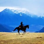 Zach McGowan Instagram - Headed to the office on hump day. More to come 🍻❤️🤠 📷 and 🐴 @schultzwrangling Montana Territory