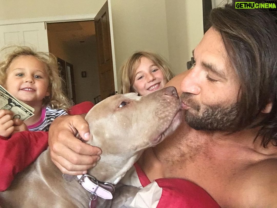 Zach McGowan - 22.4K Likes - Sophie McGowan 2007-2021. You are free my girl. Say hi to Molly and Roxy for me. I will run the fields and mountains with you by my side forever. ❤️❤️❤️❤️❤️❤️❤️❤️❤️❤️❤️❤️❤️❤️❤️