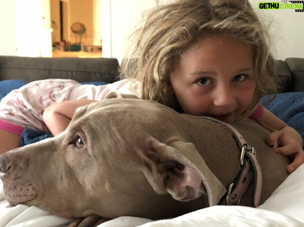 Zach McGowan Instagram - Sophie McGowan 2007-2021. You are free my girl. Say hi to Molly and Roxy for me. I will run the fields and mountains with you by my side forever. ❤️❤️❤️❤️❤️❤️❤️❤️❤️❤️❤️❤️❤️❤️❤️