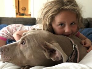 Zach McGowan Instagram - Sophie McGowan 2007-2021. You are free my girl.  Say hi to Molly and Roxy for me.  I will run the fields and mountains with you by my side forever. ❤️❤️❤️❤️❤️❤️❤️❤️❤️❤️❤️❤️❤️❤️❤️