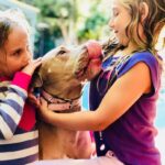 Zach McGowan Instagram - Sophie McGowan 2007-2021. You are free my girl. Say hi to Molly and Roxy for me. I will run the fields and mountains with you by my side forever. ❤️❤️❤️❤️❤️❤️❤️❤️❤️❤️❤️❤️❤️❤️❤️