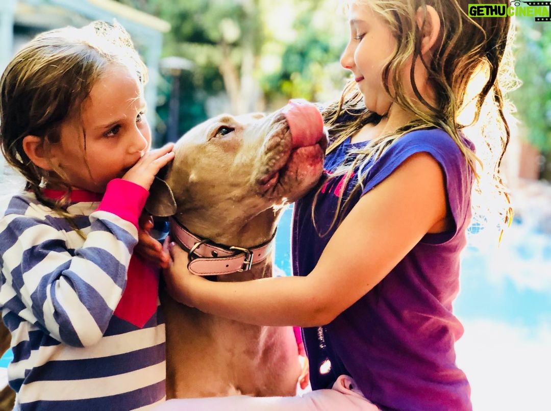 Zach McGowan - 22.4K Likes - Sophie McGowan 2007-2021. You are free my girl. Say hi to Molly and Roxy for me. I will run the fields and mountains with you by my side forever. ❤️❤️❤️❤️❤️❤️❤️❤️❤️❤️❤️❤️❤️❤️❤️