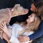 Zach McGowan Instagram - Sophie McGowan 2007-2021. You are free my girl. Say hi to Molly and Roxy for me. I will run the fields and mountains with you by my side forever. ❤️❤️❤️❤️❤️❤️❤️❤️❤️❤️❤️❤️❤️❤️❤️