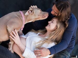 Zach McGowan Instagram - Sophie McGowan 2007-2021. You are free my girl.  Say hi to Molly and Roxy for me.  I will run the fields and mountains with you by my side forever. ❤️❤️❤️❤️❤️❤️❤️❤️❤️❤️❤️❤️❤️❤️❤️