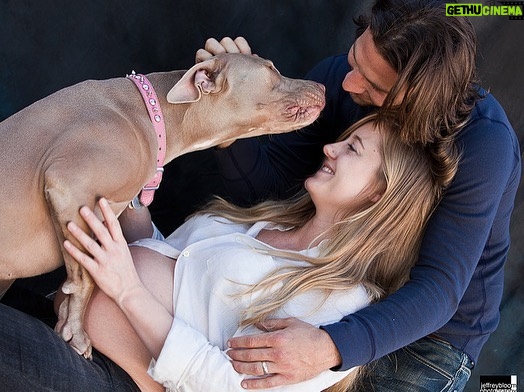 Zach McGowan - 22.4K Likes - Sophie McGowan 2007-2021. You are free my girl. Say hi to Molly and Roxy for me. I will run the fields and mountains with you by my side forever. ❤️❤️❤️❤️❤️❤️❤️❤️❤️❤️❤️❤️❤️❤️❤️