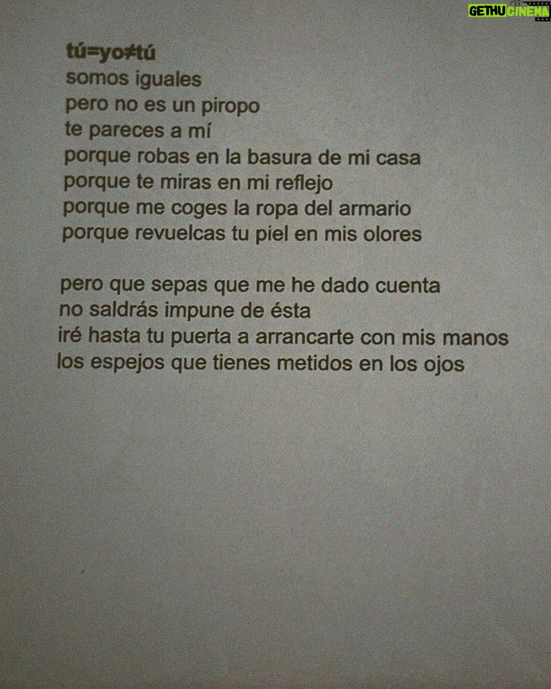 Zahara Instagram - Cuando me compré esta libreta con la Benito pensé que jamás escribiría en ella por ese miedo a estropear algo bello. Hoy estreno una nueva con Guille al lado, entre flores secas, escarabajos gigantes y unos textos que escribí para Teoría de los cuerpos.