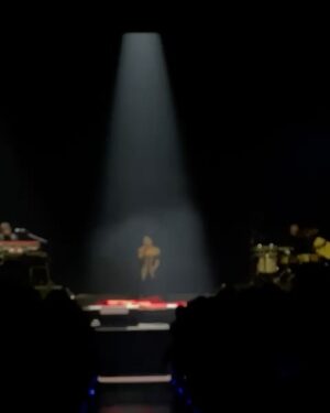 Zahara Instagram - Amo a esta mujer muy fuerte. 
Amo su manera de cantar, de estar en el escenario, de pensar, de expresarse…
He aprendido mucho en este tiempo en el que la estoy conociendo y su confianza en mí me ha llevado a llevar aún más lejos mi música y quien soy.
Cuando cantó Sansa conmigo la primera vez, en el estudio, ya me era imposible contener las lágrimas y, el otro día, en su concierto en Madrid, volvió a conmoverme como entonces.
Tiene esa cosa única dentro del cuerpo que cuando canta toca todas las fibras del mío y me hace sentir poderosa y vulnerable.

Hace unos días no solo tuve el privilegio de cantar nuestra Sansa juntas sino que pude disfrutar de su concierto, de su luz en el escenario y una de las cosas que más me emocionó fue poder escuchar en directo esas canciones que hicimos, junto a Martí, hace unos meses. Para mí ha sido muy fuerte formar parte de Ultrabelleza, saber que algunas de sus canciones son un poco mías. Escuchar algo en lo que he participado, interpretado con tanto amor y con tanto talento y cuidado, me emocionó hasta desbordárseme los lagrimones por la cara. 
Qué suerte compartir la vida con Maria José, qué bonita Laura que nos cuida, qué ilusión reencontrarme con Sosa que sigue tan precioso como siempre y conocer a Julio. Qué lujo tener siempre a Guille atento a todo, sosteniéndome. Gracias infinitas por aquella noche. Gracias, Maria José, por prestarme tu escenario y a tu público. Gracias por cuidarme y tratarme con tanto respeto y cariño y siempre. 
Te quiero mucho.
Y gracias a Estela por descubrirme a Duarte y así poder llevar precioso vestido que era una fantasía y no podía ser más ideal para una noche tan bonita.

Las fotos y vídeos son de @william_warrior, menos la primera  que es del @festivalestrellas