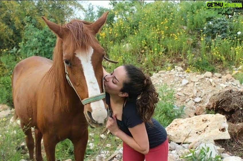 Zahra ElHaroufi - 77 Likes -