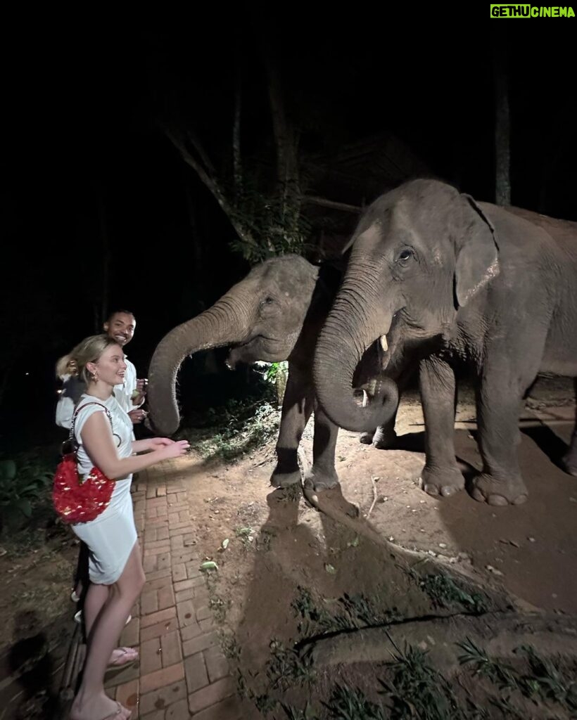 Zara Larsson Instagram - 🐘🫶🏼 Chiang Rai, Thailand