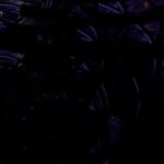 Zedd Instagram - This and that …