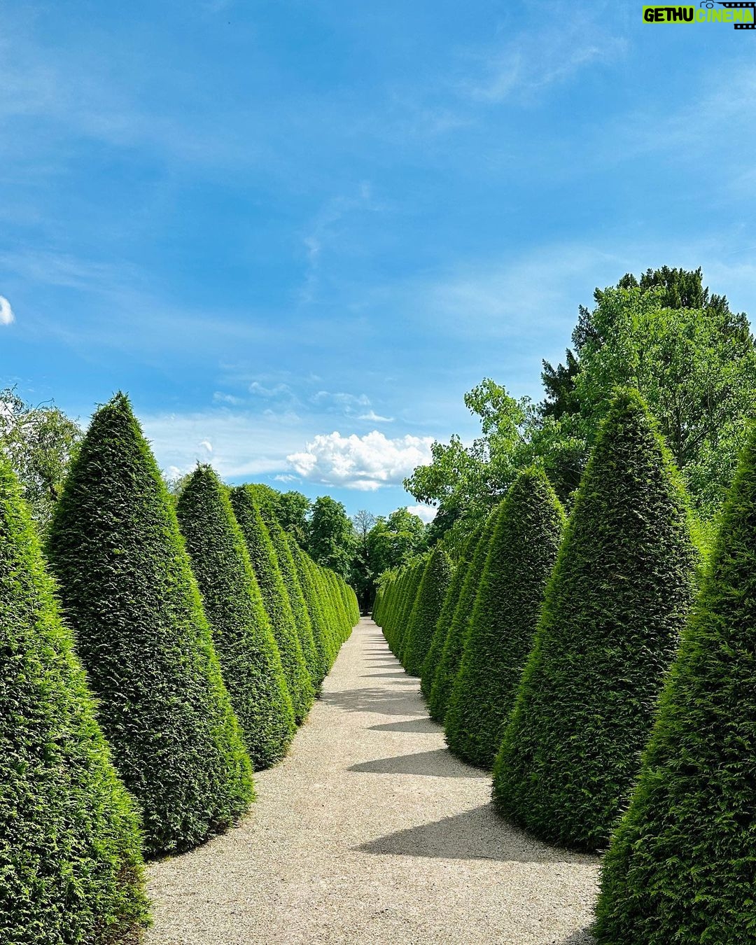 Zedd Instagram - spent a beautiful day in germany with my fam and snapped some pretty pictures that insta is gonna punish me for posting because my face isn’t front and center but yolo Schloss Schwetzingen
