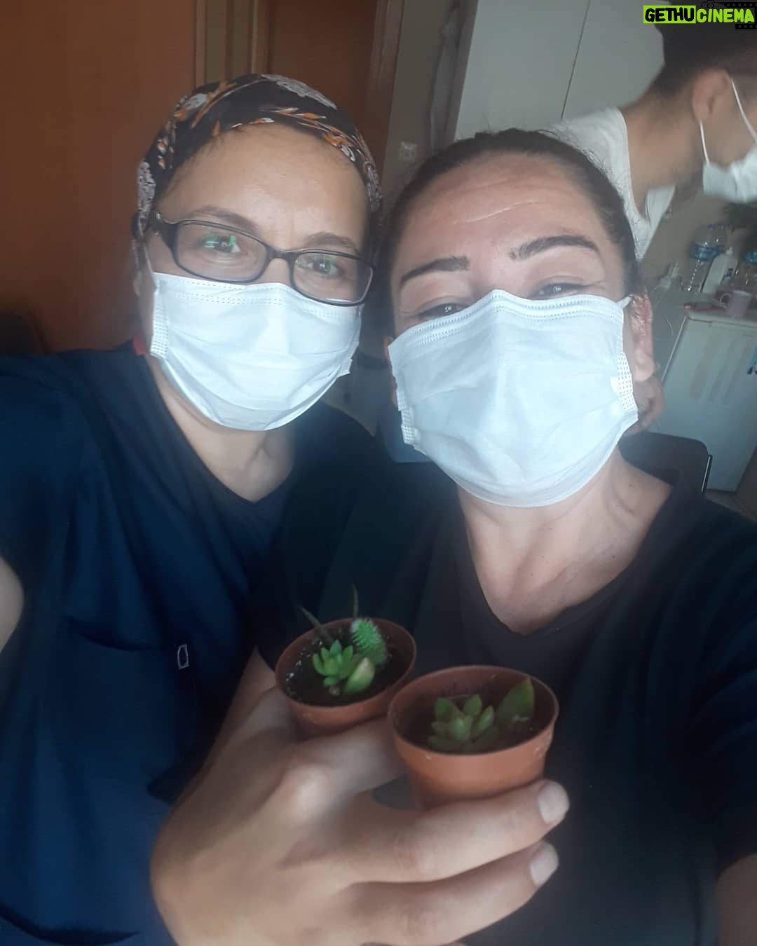 Zeynep Kankonde Instagram - Dispanserden çiçek çalmalar....