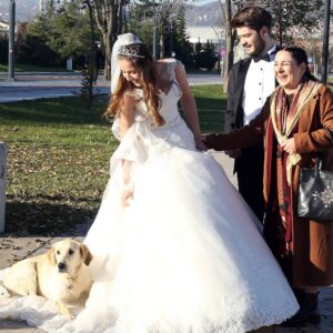 Zeynep Kankonde Instagram - Gelinin eteklerine yatıp, damada teslim etmeyen sokak köpekleri var bu kentin...
@kuzeyyildizilkaskdizi 
@showtv 
@surecfilm 
@ordu
@bu bir @ersoyguler komedisidir...