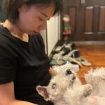 Zhang Meng'er Instagram - Meet my friend Mr. Darcy. This little old boy is 17! He’s the most characterful dog I know.