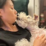 Zhang Meng'er Instagram - Meet my friend Mr. Darcy. This little old boy is 17! He’s the most characterful dog I know.
