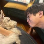Zhang Meng'er Instagram - Meet my friend Mr. Darcy. This little old boy is 17! He’s the most characterful dog I know.