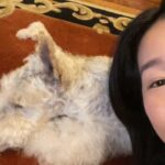 Zhang Meng'er Instagram - Meet my friend Mr. Darcy. This little old boy is 17! He’s the most characterful dog I know.
