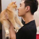 Zhang Yixing Instagram - luobo and laosan say hi! P.S. they're my cats ^^