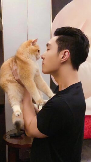 Zhang Yixing Instagram - luobo and laosan say hi! P.S. they're my cats ^^