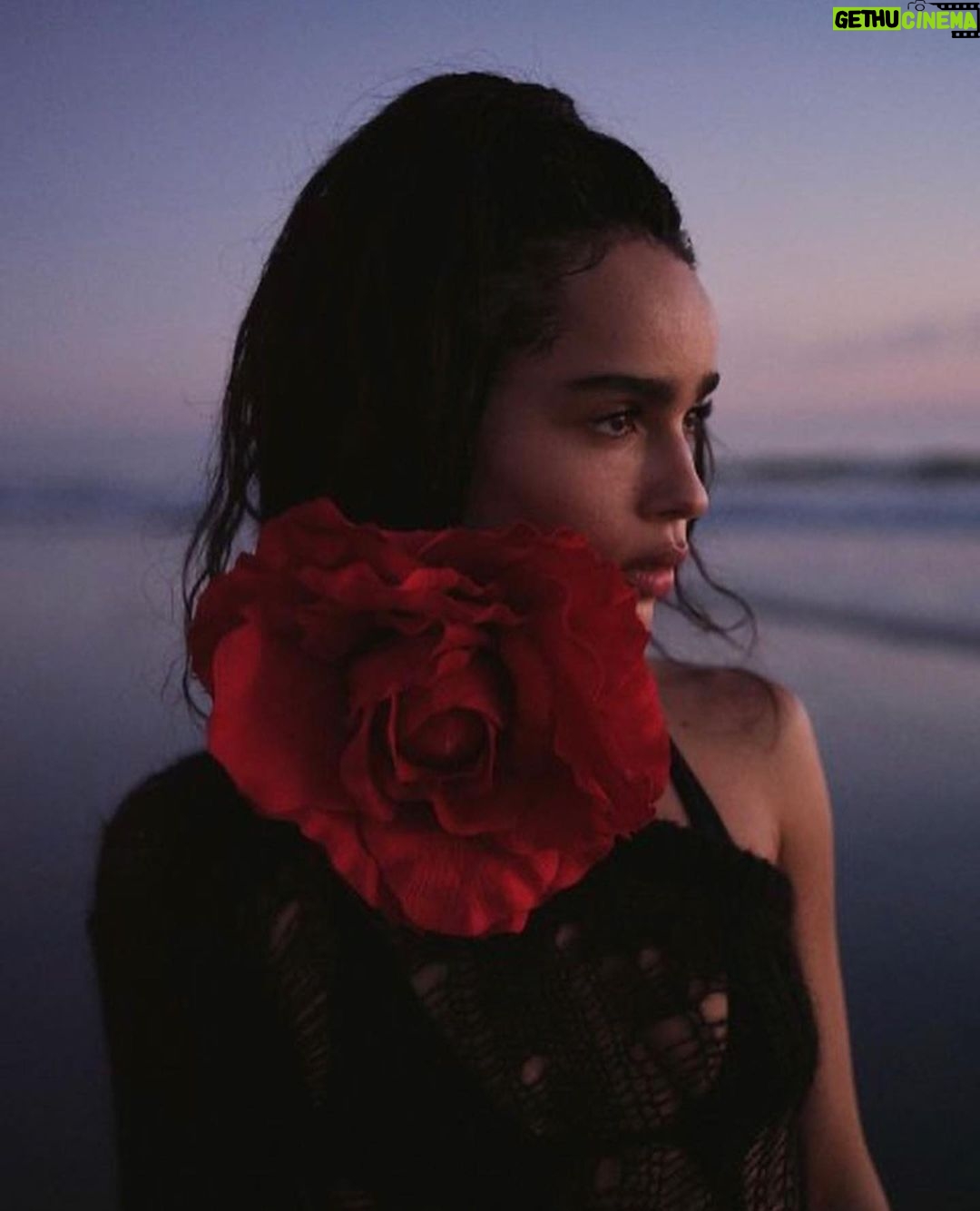 Zoë Kravitz - 880.4K Likes - thank you @elleusa 😻