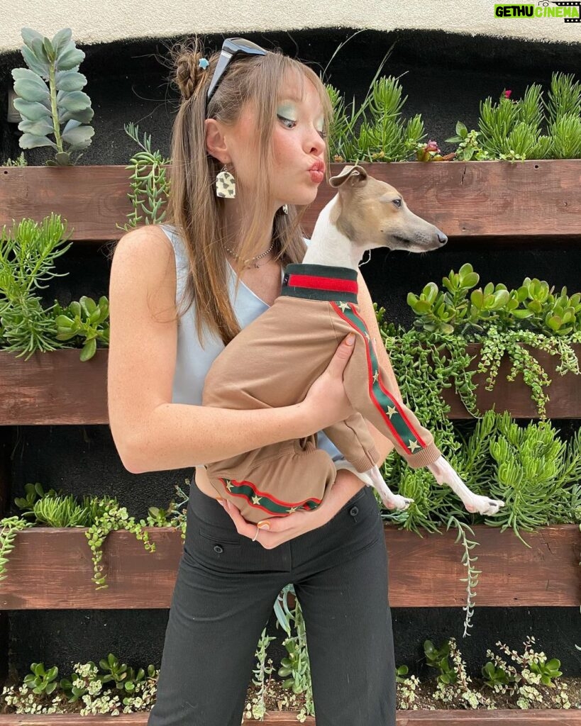 Zoe Colletti Instagram - Just a lil kiss 😚 …………. Check out @iggywearstudio.gls for the most amazing handmade iggy clothes! Louis says thanks for the new fit 🥰🥰 Los Angeles, California