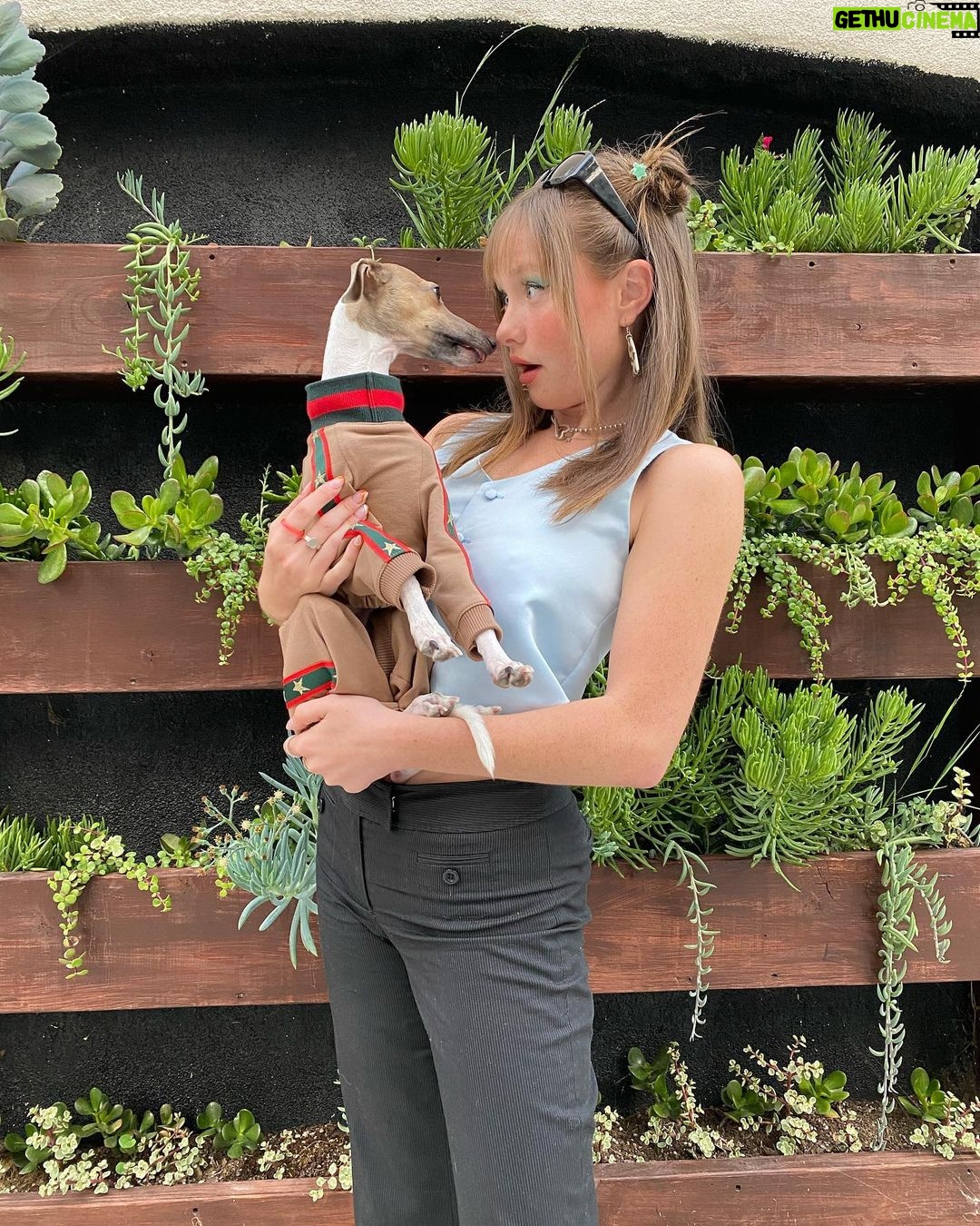 Zoe Colletti Instagram - Just a lil kiss 😚 …………. Check out @iggywearstudio.gls for the most amazing handmade iggy clothes! Louis says thanks for the new fit 🥰🥰 Los Angeles, California