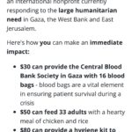 Zoe Lister-Jones Instagram - I’ve partnered with @aneraorg, an incredible organization working within Gaza to provide humanitarian aid to Gazans who are in desperate need. As of today, Anera, in partnership with @wckitchen, has delivered over 3 million meals to the people of Gaza, in addition to nearly 20,000 hygiene kits, and hundreds of thousands of medical treatments. With each day this humanitarian crisis becomes more dire. Please share and donate what you can. Link in bio.