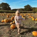 Zoe Sugg Instagram - Autumn so far 🍂 I am well and truly in hibernation/nesting mode as I move into week 33 of pregnancy! We’re really leaving no cupboard unopened at this point. I’m not even sure we were this thorough when we had Ottie! 🤣 With the weather being a bit more chilly & wet I’d love to know your go-to toddler activities for inside! We’ve done some pumpkin painting, Halloween card making (posted these in my parent & toddler broadcast channel so feel free to follow that if you want to see more) but always looking for new and fun things to keep her entertained so feel free to share in the comments! 🍂 1. Nothing like being reminded how quickly time passes than taking Ottie to @tulleyspyopumpkins for the third year 🎃 2. Running around having the best time! 3. When I tell you that squat was not easy to stand back up from at 31 weeks pregnant 😂 4. Favourite girl! 5. So many pumpkins 6. My favourite little squashes! 7. Scooter walks 8. Picking conkers 🍁 9. Loves Halloween as much as her Mummy 🕸️