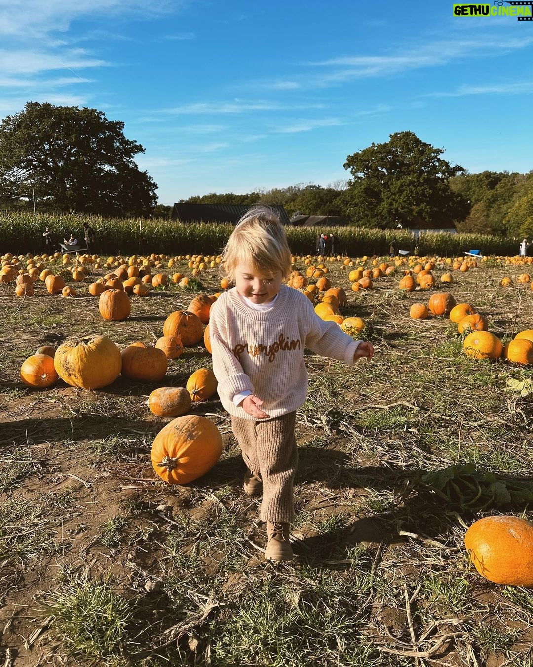 Zoe Sugg Instagram - Autumn so far ๐ I am well and truly in hibernation/nesting mode as I move into week 33 of pregnancy! Weโre really leaving no cupboard unopened at this point. Iโm not even sure we were this thorough when we had Ottie! ๐คฃ With the weather being a bit more chilly & wet Iโd love to know your go-to toddler activities for inside! Weโve done some pumpkin painting, Halloween card making (posted these in my parent & toddler broadcast channel so feel free to follow that if you want to see more) but always looking for new and fun things to keep her entertained so feel free to share in the comments! ๐ 1. Nothing like being reminded how quickly time passes than taking Ottie to @tulleyspyopumpkins for the third year ๐ 2. Running around having the best time! 3. When I tell you that squat was not easy to stand back up from at 31 weeks pregnant ๐ 4. Favourite girl! 5. So many pumpkins 6. My favourite little squashes! 7. Scooter walks 8. Picking conkers ๐ 9. Loves Halloween as much as her Mummy ๐ธ๏ธ