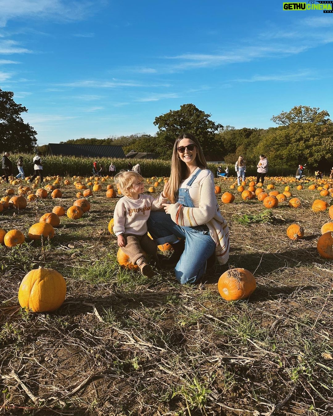 Zoe Sugg Instagram - Autumn so far ๐ I am well and truly in hibernation/nesting mode as I move into week 33 of pregnancy! Weโre really leaving no cupboard unopened at this point. Iโm not even sure we were this thorough when we had Ottie! ๐คฃ With the weather being a bit more chilly & wet Iโd love to know your go-to toddler activities for inside! Weโve done some pumpkin painting, Halloween card making (posted these in my parent & toddler broadcast channel so feel free to follow that if you want to see more) but always looking for new and fun things to keep her entertained so feel free to share in the comments! ๐ 1. Nothing like being reminded how quickly time passes than taking Ottie to @tulleyspyopumpkins for the third year ๐ 2. Running around having the best time! 3. When I tell you that squat was not easy to stand back up from at 31 weeks pregnant ๐ 4. Favourite girl! 5. So many pumpkins 6. My favourite little squashes! 7. Scooter walks 8. Picking conkers ๐ 9. Loves Halloween as much as her Mummy ๐ธ๏ธ