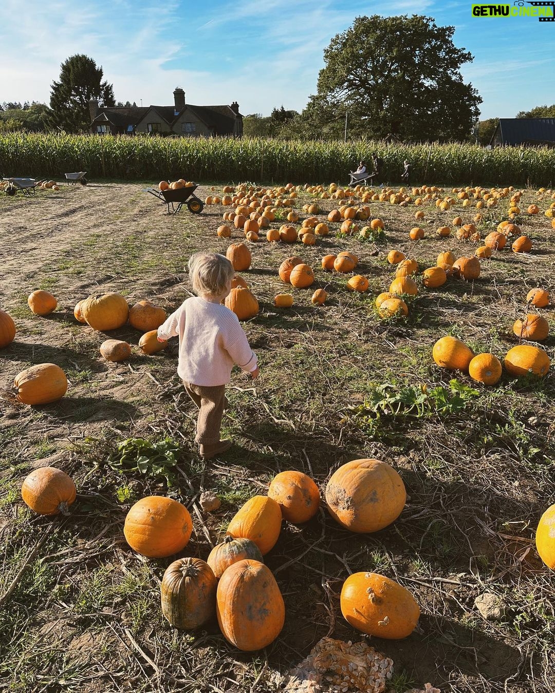 Zoe Sugg Instagram - Autumn so far ๐ I am well and truly in hibernation/nesting mode as I move into week 33 of pregnancy! Weโre really leaving no cupboard unopened at this point. Iโm not even sure we were this thorough when we had Ottie! ๐คฃ With the weather being a bit more chilly & wet Iโd love to know your go-to toddler activities for inside! Weโve done some pumpkin painting, Halloween card making (posted these in my parent & toddler broadcast channel so feel free to follow that if you want to see more) but always looking for new and fun things to keep her entertained so feel free to share in the comments! ๐ 1. Nothing like being reminded how quickly time passes than taking Ottie to @tulleyspyopumpkins for the third year ๐ 2. Running around having the best time! 3. When I tell you that squat was not easy to stand back up from at 31 weeks pregnant ๐ 4. Favourite girl! 5. So many pumpkins 6. My favourite little squashes! 7. Scooter walks 8. Picking conkers ๐ 9. Loves Halloween as much as her Mummy ๐ธ๏ธ