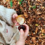 Zoe Sugg Instagram - Autumn so far 🍂 I am well and truly in hibernation/nesting mode as I move into week 33 of pregnancy! We’re really leaving no cupboard unopened at this point. I’m not even sure we were this thorough when we had Ottie! 🤣 With the weather being a bit more chilly & wet I’d love to know your go-to toddler activities for inside! We’ve done some pumpkin painting, Halloween card making (posted these in my parent & toddler broadcast channel so feel free to follow that if you want to see more) but always looking for new and fun things to keep her entertained so feel free to share in the comments! 🍂 1. Nothing like being reminded how quickly time passes than taking Ottie to @tulleyspyopumpkins for the third year 🎃 2. Running around having the best time! 3. When I tell you that squat was not easy to stand back up from at 31 weeks pregnant 😂 4. Favourite girl! 5. So many pumpkins 6. My favourite little squashes! 7. Scooter walks 8. Picking conkers 🍁 9. Loves Halloween as much as her Mummy 🕸️