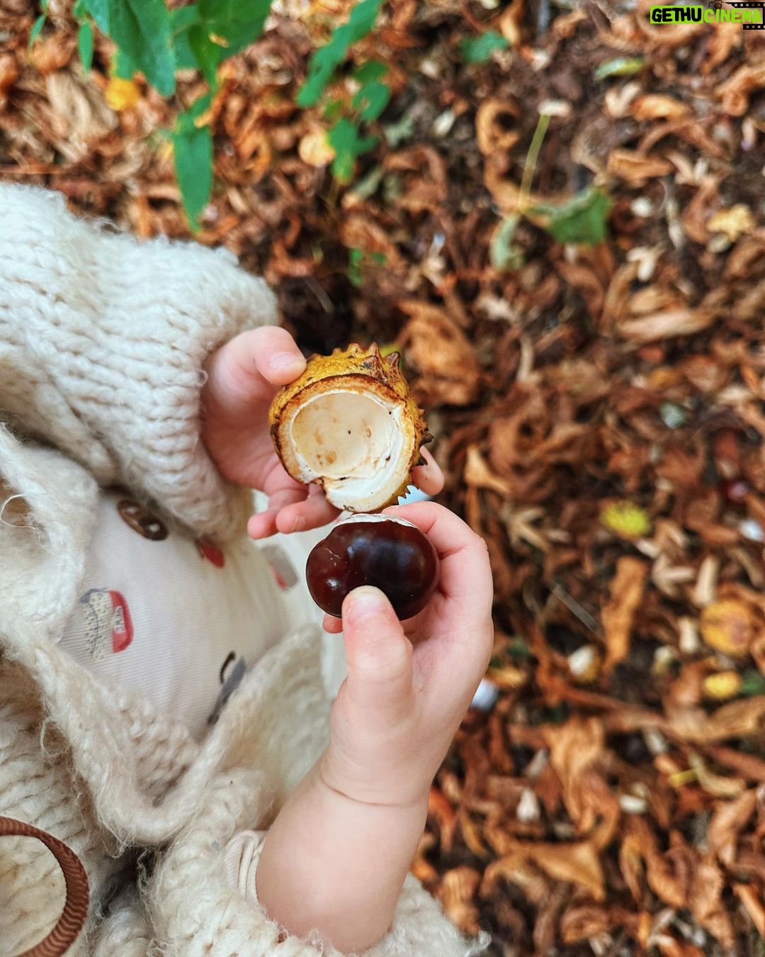 Zoe Sugg Instagram - Autumn so far ๐ I am well and truly in hibernation/nesting mode as I move into week 33 of pregnancy! Weโre really leaving no cupboard unopened at this point. Iโm not even sure we were this thorough when we had Ottie! ๐คฃ With the weather being a bit more chilly & wet Iโd love to know your go-to toddler activities for inside! Weโve done some pumpkin painting, Halloween card making (posted these in my parent & toddler broadcast channel so feel free to follow that if you want to see more) but always looking for new and fun things to keep her entertained so feel free to share in the comments! ๐ 1. Nothing like being reminded how quickly time passes than taking Ottie to @tulleyspyopumpkins for the third year ๐ 2. Running around having the best time! 3. When I tell you that squat was not easy to stand back up from at 31 weeks pregnant ๐ 4. Favourite girl! 5. So many pumpkins 6. My favourite little squashes! 7. Scooter walks 8. Picking conkers ๐ 9. Loves Halloween as much as her Mummy ๐ธ๏ธ