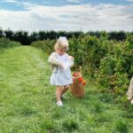 Zoe Sugg Instagram - August moments ✨ I fell a little off the bandwagon of sharing snaps here throughout August as we were filming everyday over on YouTube (there’s a highlight on my profile if you want to catch up with any of these days) 1. Fruit picking with the family (which is much harder to do with a toddler than I anticipated, keeping any berries we managed to find in the carton was near impossible 🫣) 2. Ottie wearing it as a hat because putting berries in it was clearly not what it’s main purpose was… 🤣 3. Tractor ride around the fields 4. Nanny @traceysugg birthday and the cake we baked (Ottie still talks about the fact we made this together which is too cute) 5. A night away just the two of us to @beaverbrook which was just what we needed 🥰 6. The breakfast of my absolute dreams. That bacon is just 👌 7. The most beautiful bath (went into proper stealth mode getting in and out so as not to flash unsuspecting guests walking past below)🫣 8. Bump cuddles! Ottie has become super cuddly recently and I’m loving it. 9. A little outfit of the day that Mark snapped of me 10. Otties first princess dress that she was absolutely besotted with!