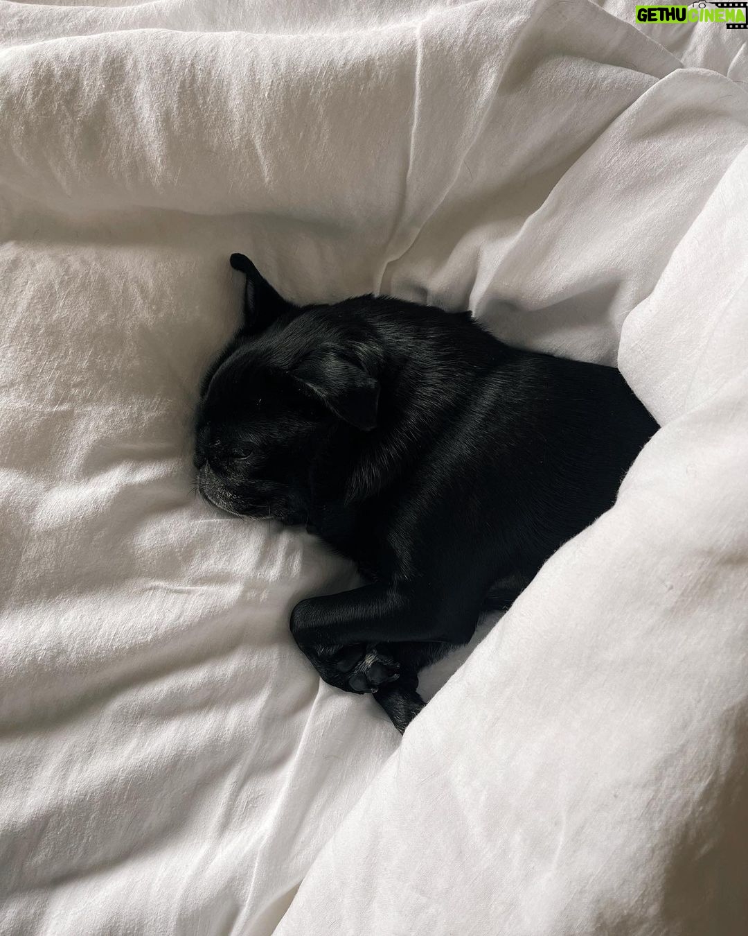 Zoe Sugg Instagram - I have to say, doing these weekly recaps really highlights how fast time passes (Sunday feels like it comes around so quickly!) It also encourages me to find slithers of joy in every day, even the days where I feel like I haven’t done or achieved much, it’s the small things that you feel really grateful for ♥️ I would really encourage doing it, whether you post online or just keep the photos or moments for yourself, just write down 10 things/moments/people that made you smile. As someone who has shared snippets of my life online for the past 15 years (side note: woah) looking back on things like this are also so lovely! 1. Birthday morning with my two girls ♥️ 2. Spa mirror shot before heading to my massage & facial (which was amazing) 3. Family @joe_sugg 🥰 4. Feeling the birthday love with all my cards and flowers 🌷 5. Garden of posies 6. Sleepy Nala 7. Garden Center visit in her peppa pig shoes ☺️ 8. Breakfast with her bestie @markyyferris 9. Someones cat came to say hello in the garden! 10. Helping Daddy in the veg patch @alfiedeyes (Alfie very much dressed for a spring he hopes for, Ottie very much dressed for the spring we are having) Hope your week was magical ✨