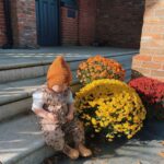 Zoe Sugg Instagram - Autumn cuteness! 🎃 Currently struggling through ANOTHER savage cold, anyone else’s immune system out to get them? 🤧🤒