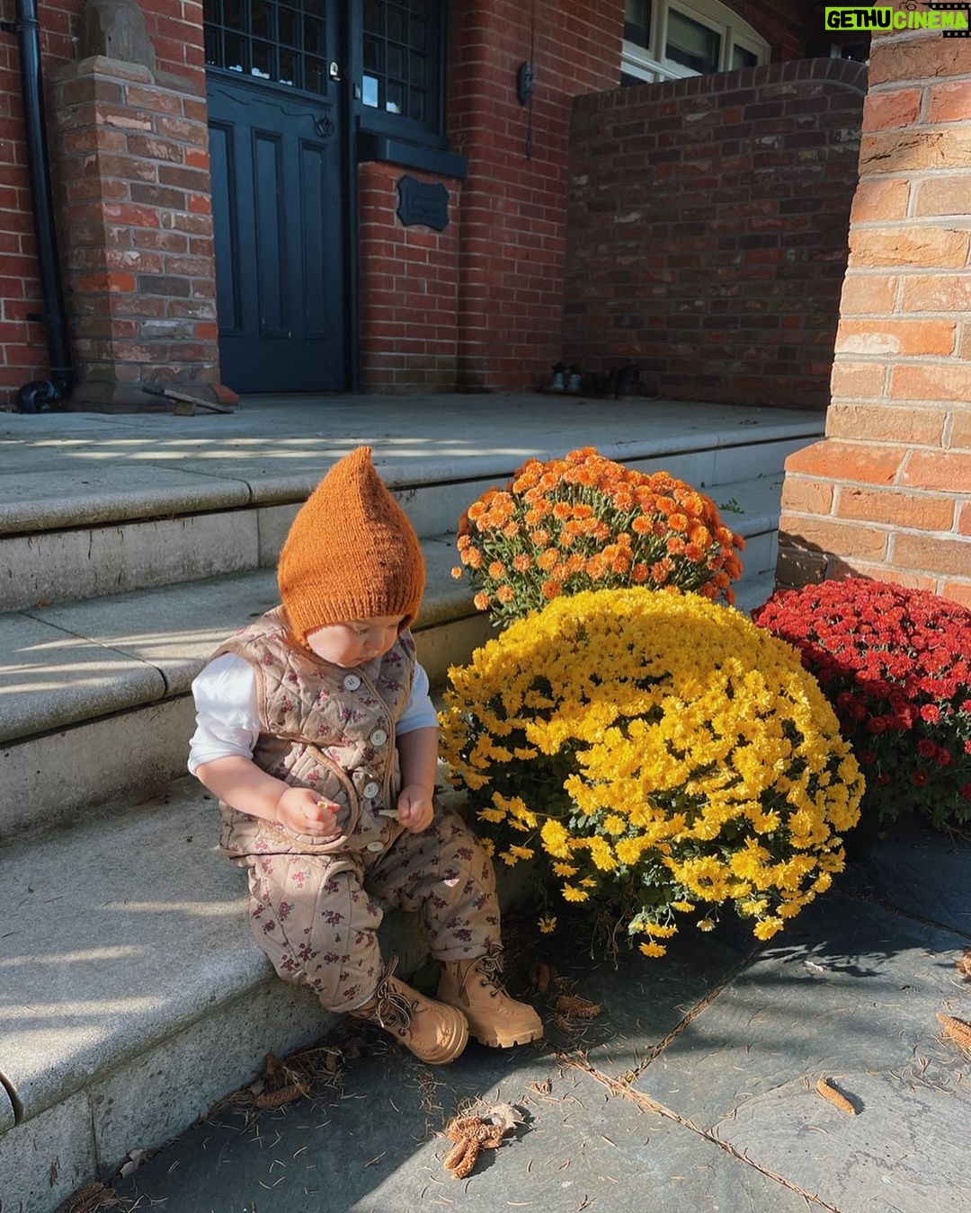 Zoe Sugg Instagram - Autumn cuteness! 🎃 Currently struggling through ANOTHER savage cold, anyone else’s immune system out to get them? 🤧🤒