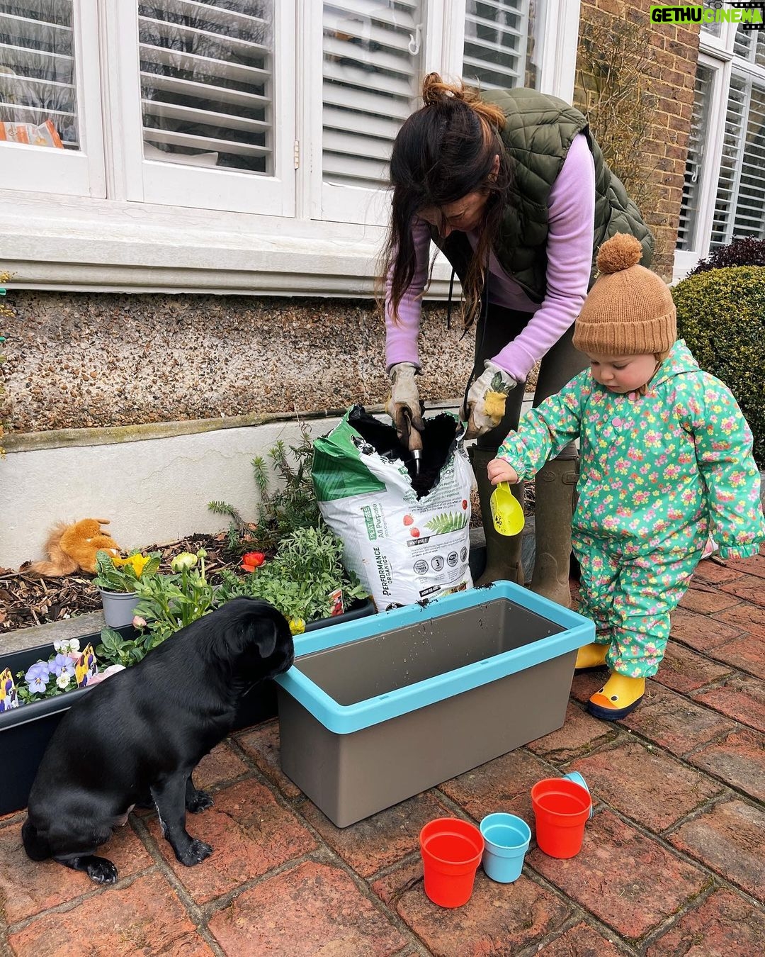 Zoe Sugg Instagram - This weeks camera roll highlights are some of my favourite. Lots of lovely memories made ✨ 1. Ottie likes hiding under the tablecloth once she’s finished her meals 🥰 2. Gorgeous Mother’s Day flowers from @alfiedeyes & Ottie ♥️ 3. Planting flowers in O’s playhouse pots with Nana @traceysugg & Nala 4. Birthday team lunch with @dani_cox3 at @tutto.uk which was DELICIOUS! I already want to go back 5. They brought out a chocolate truffle with a candle for us at the end of the meal which was sweet, although by this point we were absolutely stuffed! 🤪 6. Date night with @alfiedeyes at the cinema to see Louis Tomlinsons new film! We really enjoyed it! 7. Breakfast at @oeuf.cafe, always an absolute joy!! 8. Post breakfast stroll along the seafront in gale force winds! 9. The pretty sequins @bw.nails used on my nails (see previous post) 10. Having a bit of a green moment and loved this co-ord from @mango Hope you’ve also had a lovely week ✨