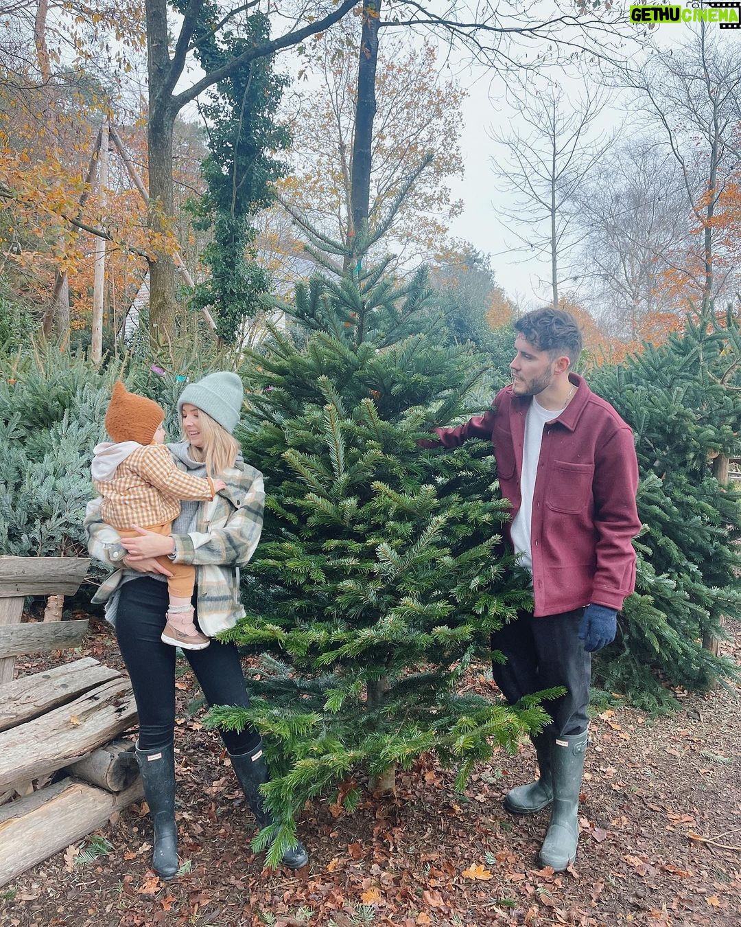 Zoe Sugg Instagram - Yesterdays vlogmas is up! We went to our favourite place @wildernesswoodsussex and picked our tree 🎄
