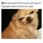 Zoe Viccaji Instagram - Yup... that’s pretty much the face I make!