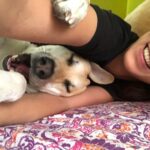 Zoe Viccaji Instagram - Loving forever-home needed for our Dog Akamaru. My brother is wrapping up affairs in Pakistan, and though he would love to take him to Colombo, he will not get along with his male Beagle, Buster who is already there. Aku is a house/ in-door dog and very social with friends, often demands petting, and is extremely loving. Do let us know if you or anyone you know is interested. My brother is in Karachi for a short time, so it would be good to try now and see if he adjusts to a new home.