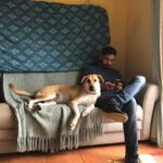 Zoe Viccaji Instagram - Loving forever-home needed for our Dog Akamaru. My brother is wrapping up affairs in Pakistan, and though he would love to take him to Colombo, he will not get along with his male Beagle, Buster who is already there. Aku is a house/ in-door dog and very social with friends, often demands petting, and is extremely loving. Do let us know if you or anyone you know is interested. My brother is in Karachi for a short time, so it would be good to try now and see if he adjusts to a new home.