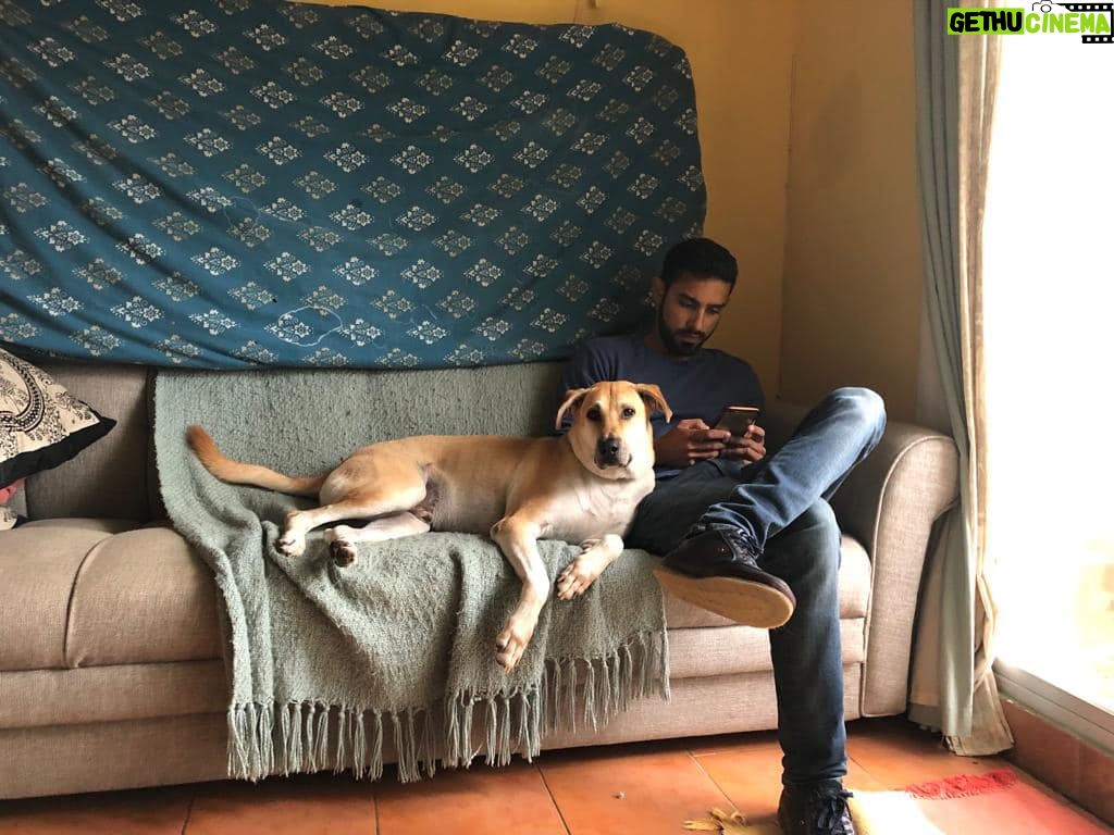 Zoe Viccaji Instagram - Loving forever-home needed for our Dog Akamaru. My brother is wrapping up affairs in Pakistan, and though he would love to take him to Colombo, he will not get along with his male Beagle, Buster who is already there. Aku is a house/ in-door dog and very social with friends, often demands petting, and is extremely loving. Do let us know if you or anyone you know is interested. My brother is in Karachi for a short time, so it would be good to try now and see if he adjusts to a new home.