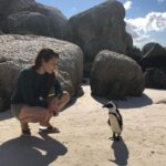 Zoe Viccaji Instagram - Out of all our days in South Africa this was really the most memorable. It was so magical being this close to penguins on a beach!! And we were even more lucky because we caught them in their breeding season. If you ever get the chance to visit Cape Town you must go to boulders beach and spend a day with these guys ❤️🐧 #bouldersbeach #southafrica #capetown #wildlife #penguins #savetheplanet #loveanimals Boulders Beach Penguin Colony