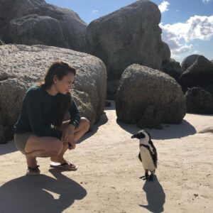 Zoe Viccaji Instagram - Out of all our days in South Africa this was really the most memorable. It was so magical being this close to penguins on a beach!! And we were even more lucky because we caught them in their breeding season. If you ever get the chance to visit Cape Town you must go to boulders beach and spend a day with these guys ❤️🐧 #bouldersbeach #southafrica #capetown #wildlife #penguins #savetheplanet #loveanimals