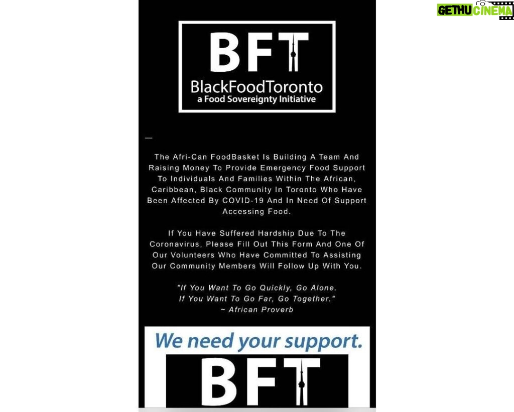 Zoie Palmer Instagram - BFT https://blackfoodtoronto.com an organization I donated to, there are many ways to show up and many ways that don’t include spending $.